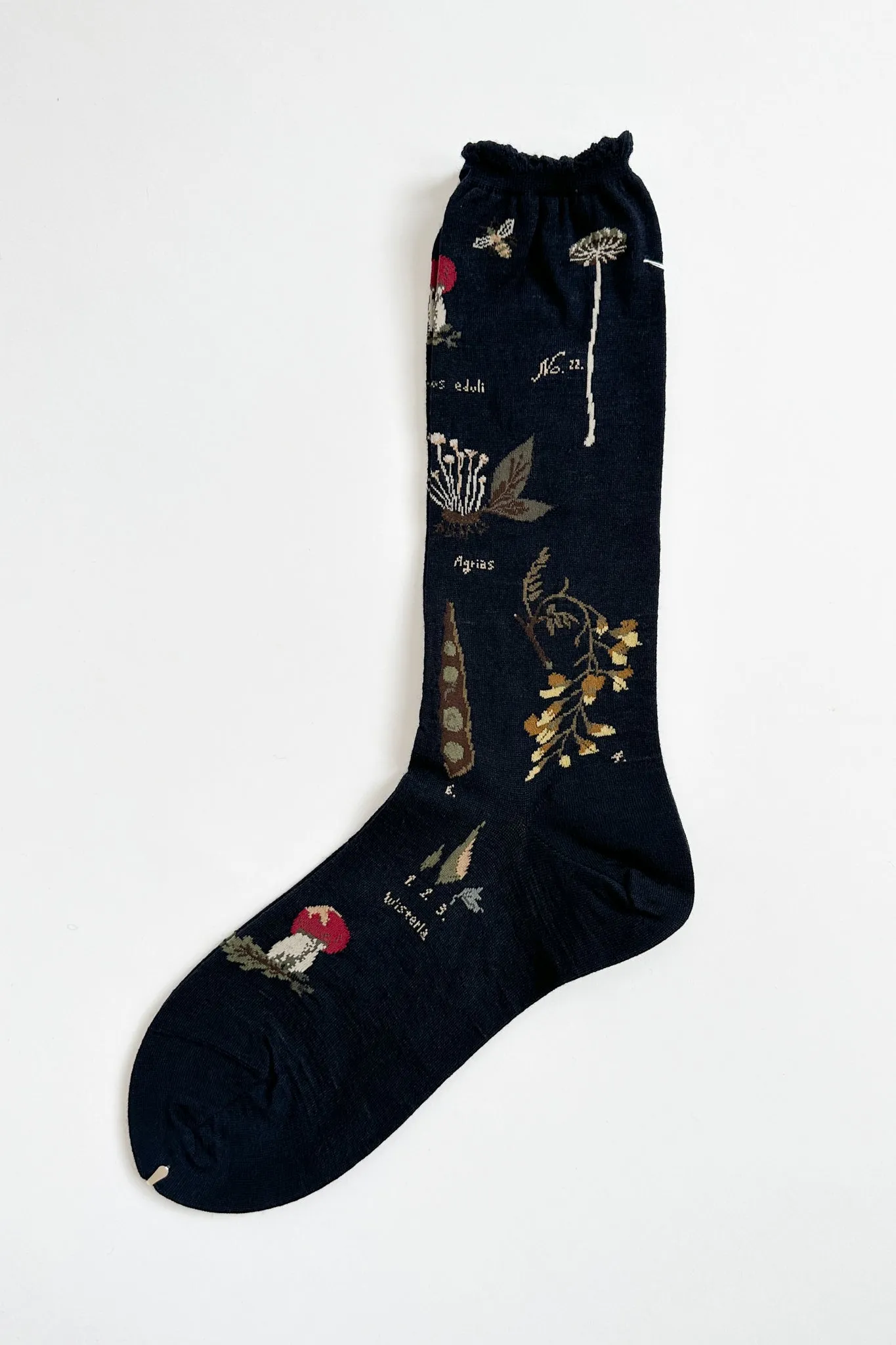 Antipast - Botanical Socks Knitted - AM-753