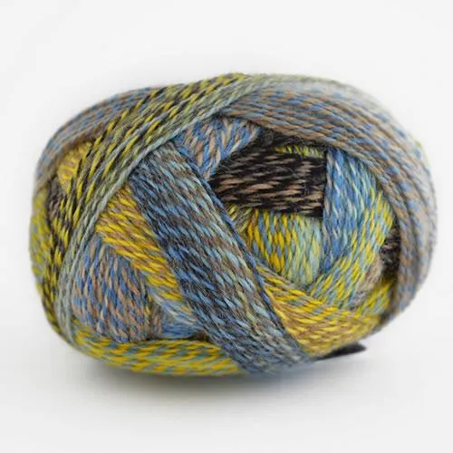 Crazy Zauberball Sock Yarn