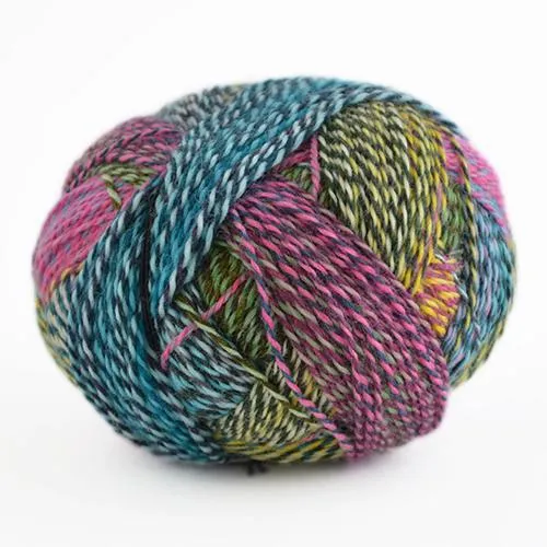 Crazy Zauberball Sock Yarn