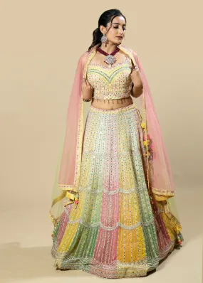 Multi-Colored Embroidered Georgette Blouse and Skirt Set with Pink Net Dupatta