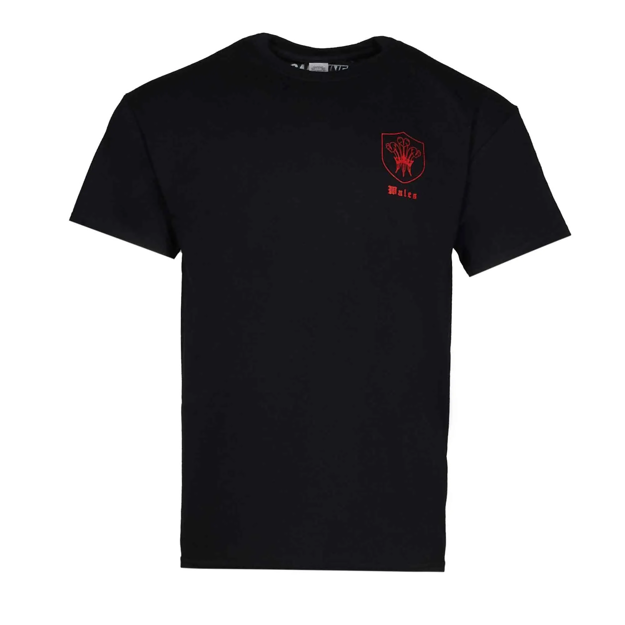 Wales Nations Graphic T-Shirt